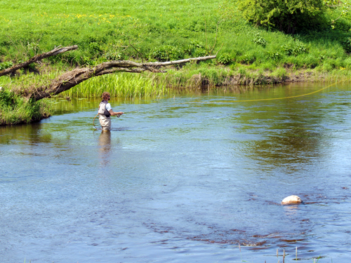 FlugfiskareMotsattaSidanBaljanesUtlopp