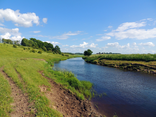 UppstromsTommysGrillplats2