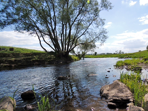 VettingeMittEmotTommysGrillplats